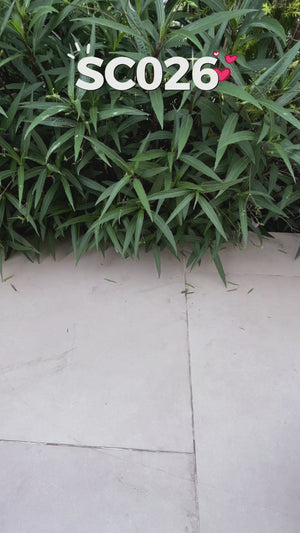 รองเท้าผ้าใบ รองเท้าผ้าใบสลิปออน รองเท้าผ้าใบสลิปออนผู้หญิงสีดำ สีชมพู ลายแมวสุดน่ารัก ใส่สบาย